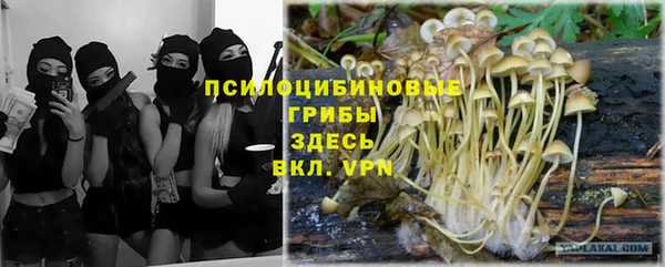 прущая мука Армянск